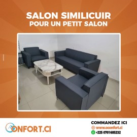 Salon Similicuir