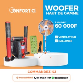 Woofer haut de gamme à 3 baffes démontable + 1 Ventilateur silencieux + 1 Rallonge usb