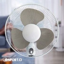 Ventilateur mural de refroidissement à air 50W de 16 pouces